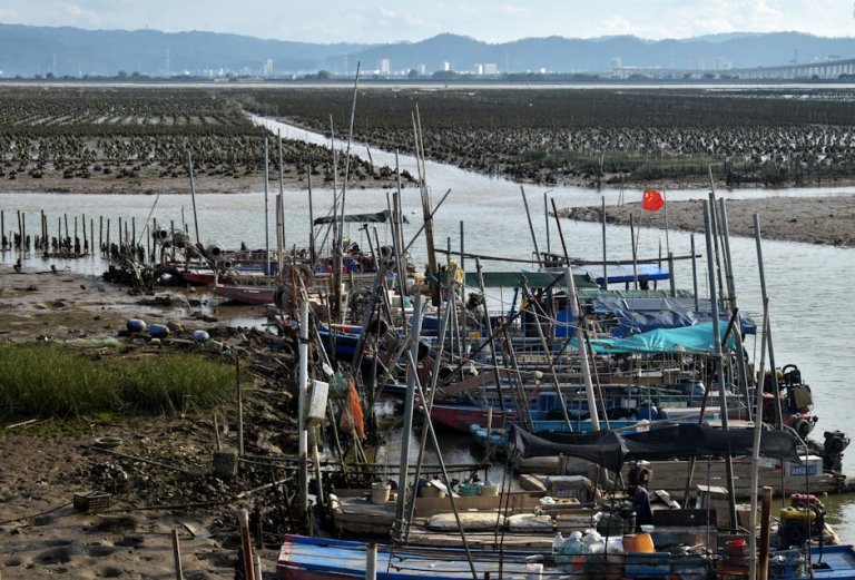 旗袋使用全攻略：輕鬆打造你的專屬旗袋世界