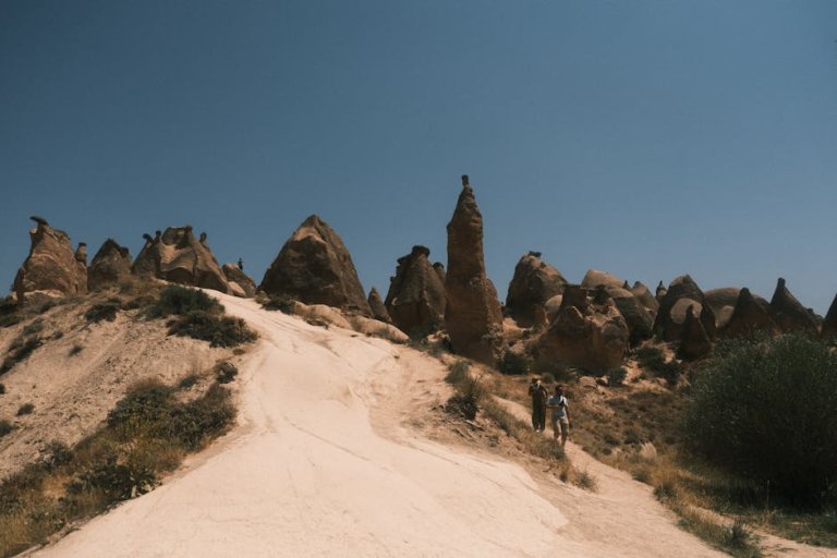 藍十字旅遊保險：全面指導與方案介紹
