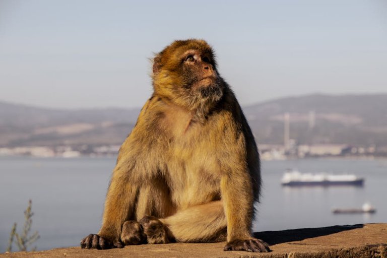 產後護理的重要性與基本原則
